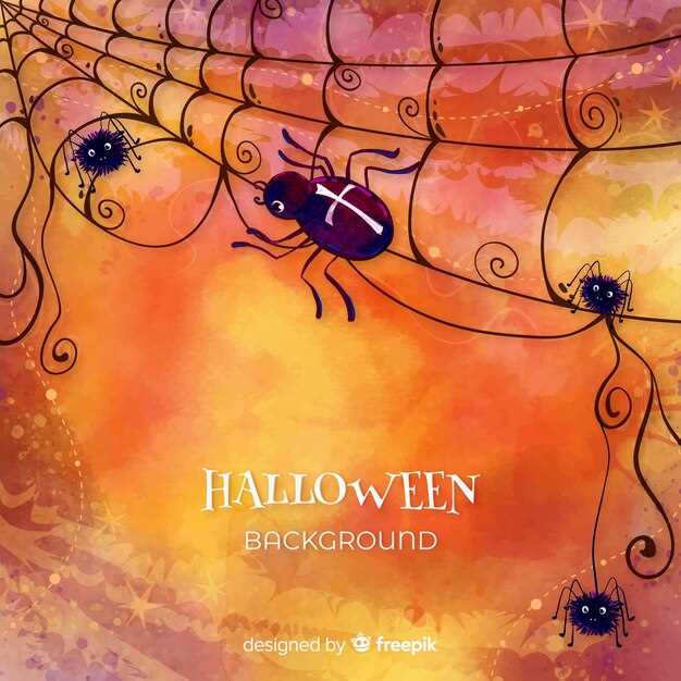 Significado dos sonhos com aranhas grandes