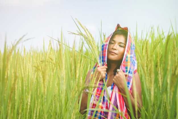 Sonhar com arroz em festividades