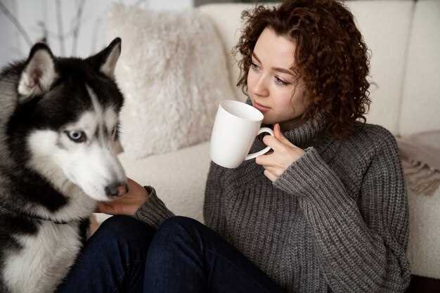 Significado psicológico do sonho com cão husky