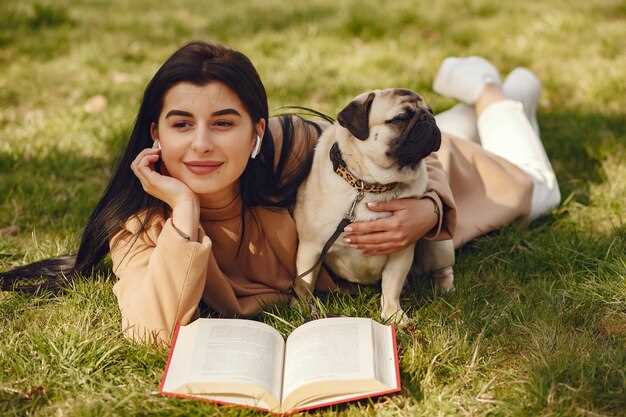 Sonhar com cachorro amigo