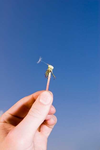 Simbolismo do esperma