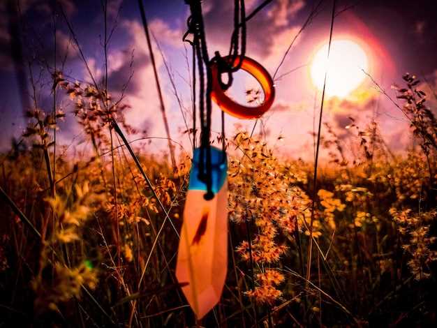 Harpa como símbolo de conexão espiritual