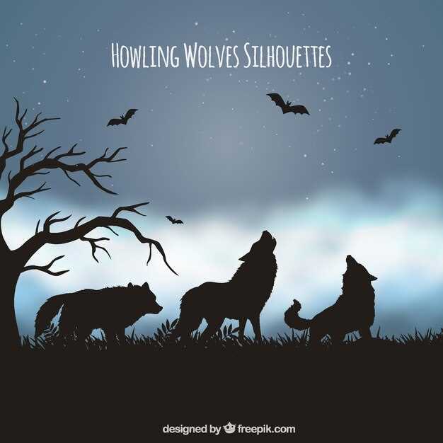 Lobos e a solidão nos sonhos