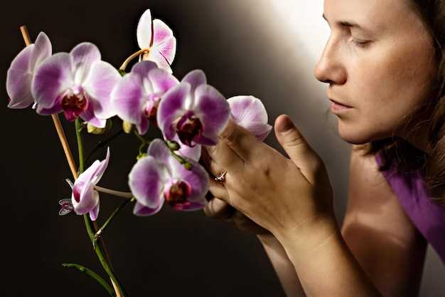 Orquídea roxa nos sonhos: espiritualidade e mistério