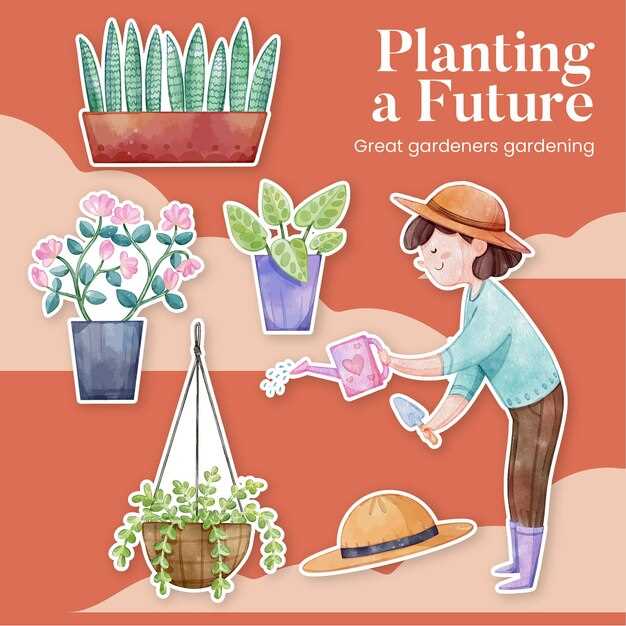 O que significa sonhar com plantas em vasos