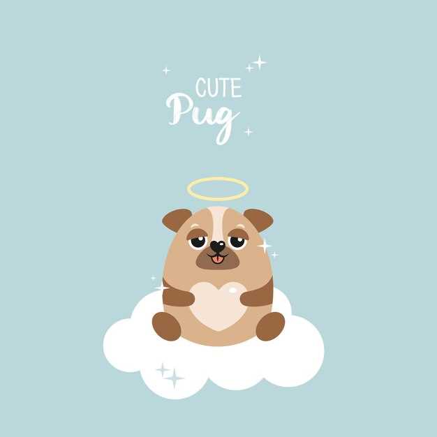 Pug preto: significado de sorte e proteção