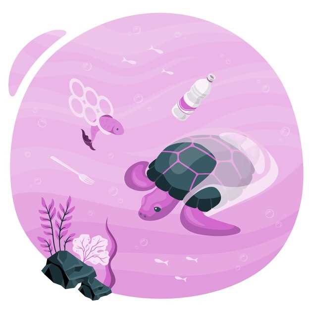 Tartarugas - sonho de equilíbrio