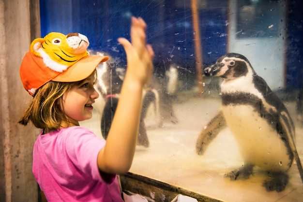 Sonhar com animais no zoológico - Possíveis interpretações